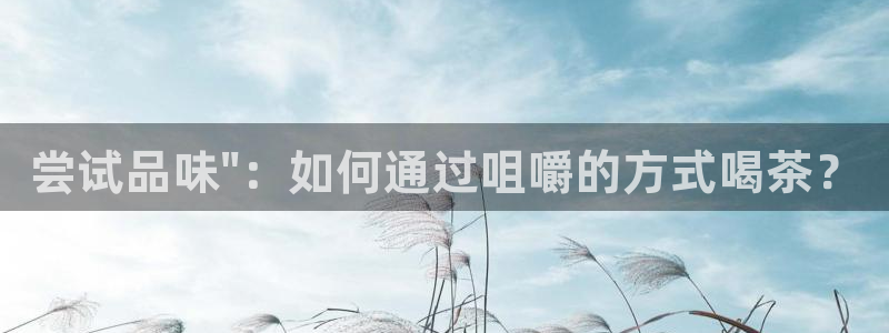 安信可12f