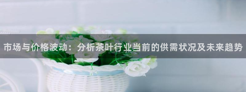 安信312 12