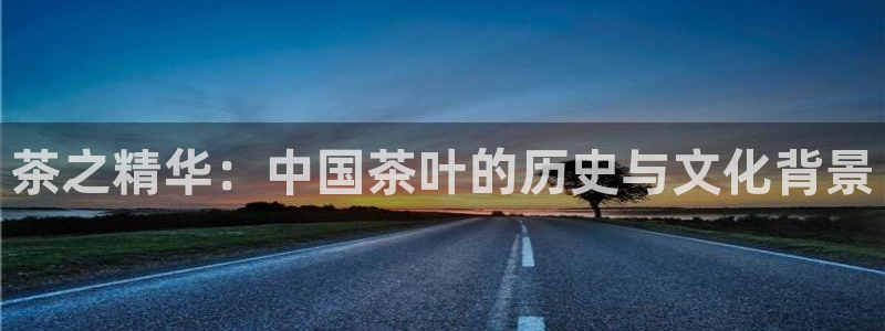 安信12负责人