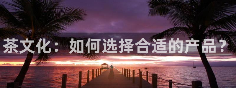 安信12平台下载