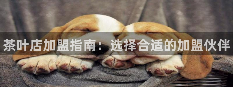 安卓12微信