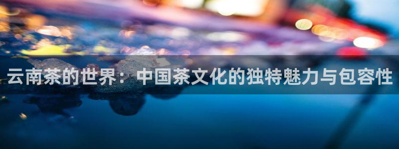 安信12是什么软件