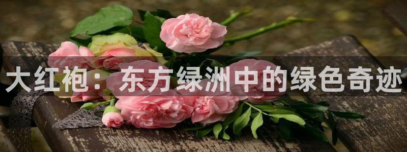安信12平台怎么样